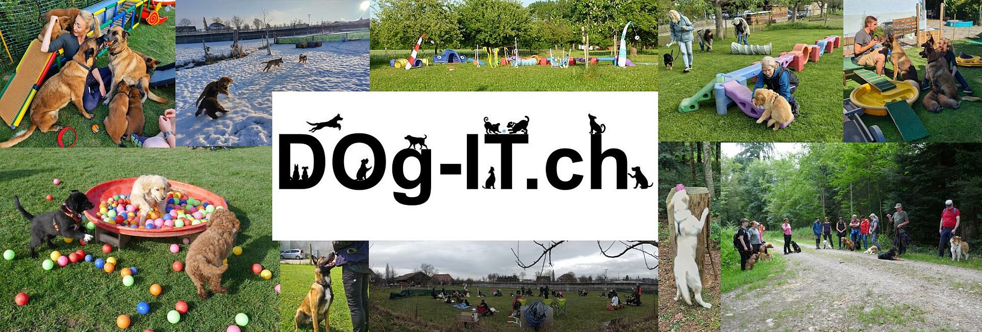 dog-it banner bild